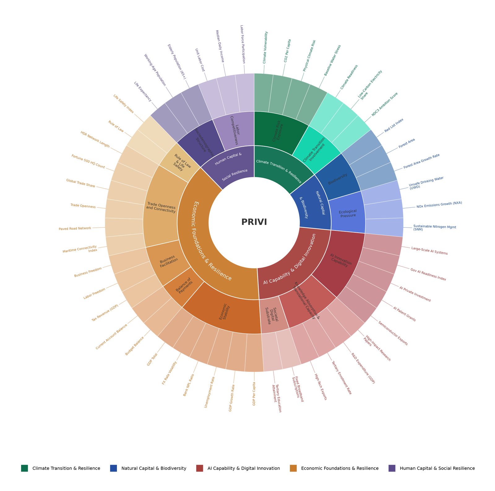 The PRIVI indicator system — 5 dimensions, 14 sub-dimensions, 49 indicators